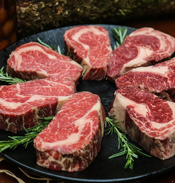 Coastal_Cattle_1 (4)